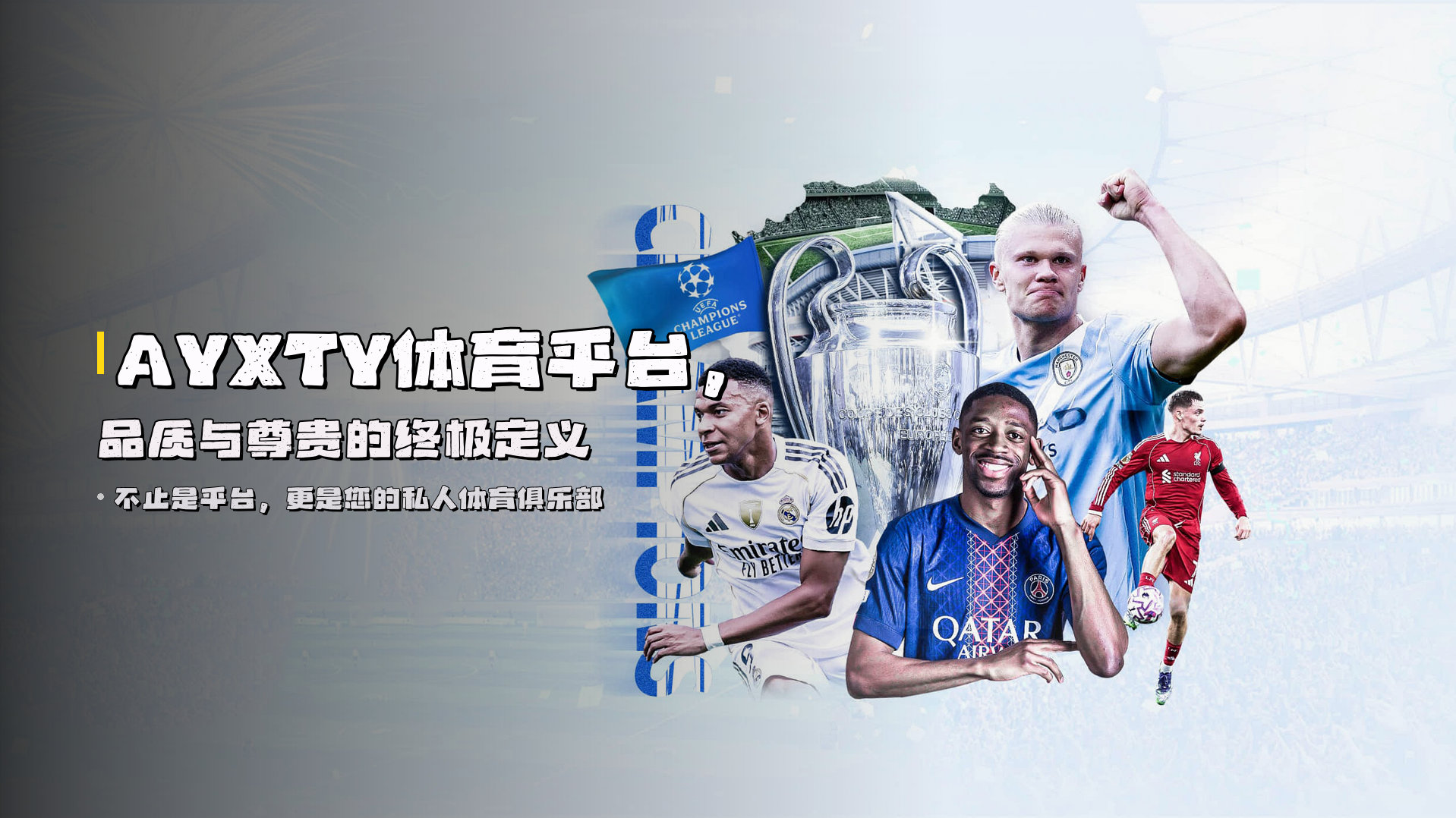 AYXTY体育平台，<strong>品质与尊贵</strong>的终极定义
